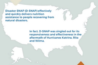 disaster supplemental nutrition assistance program d snap