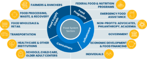 Illustration of actors in food system