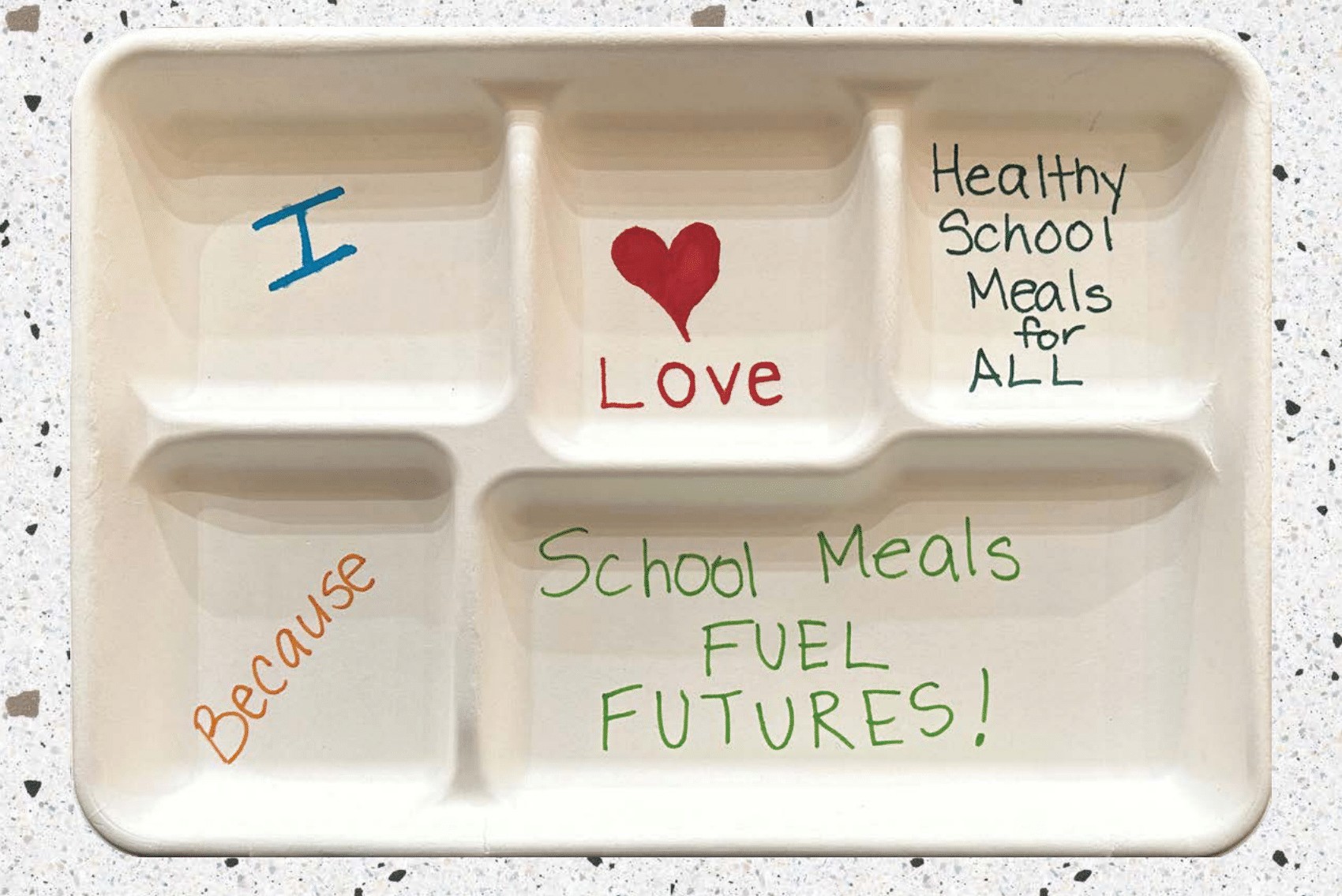 HSMFA Report 2024 Cover
