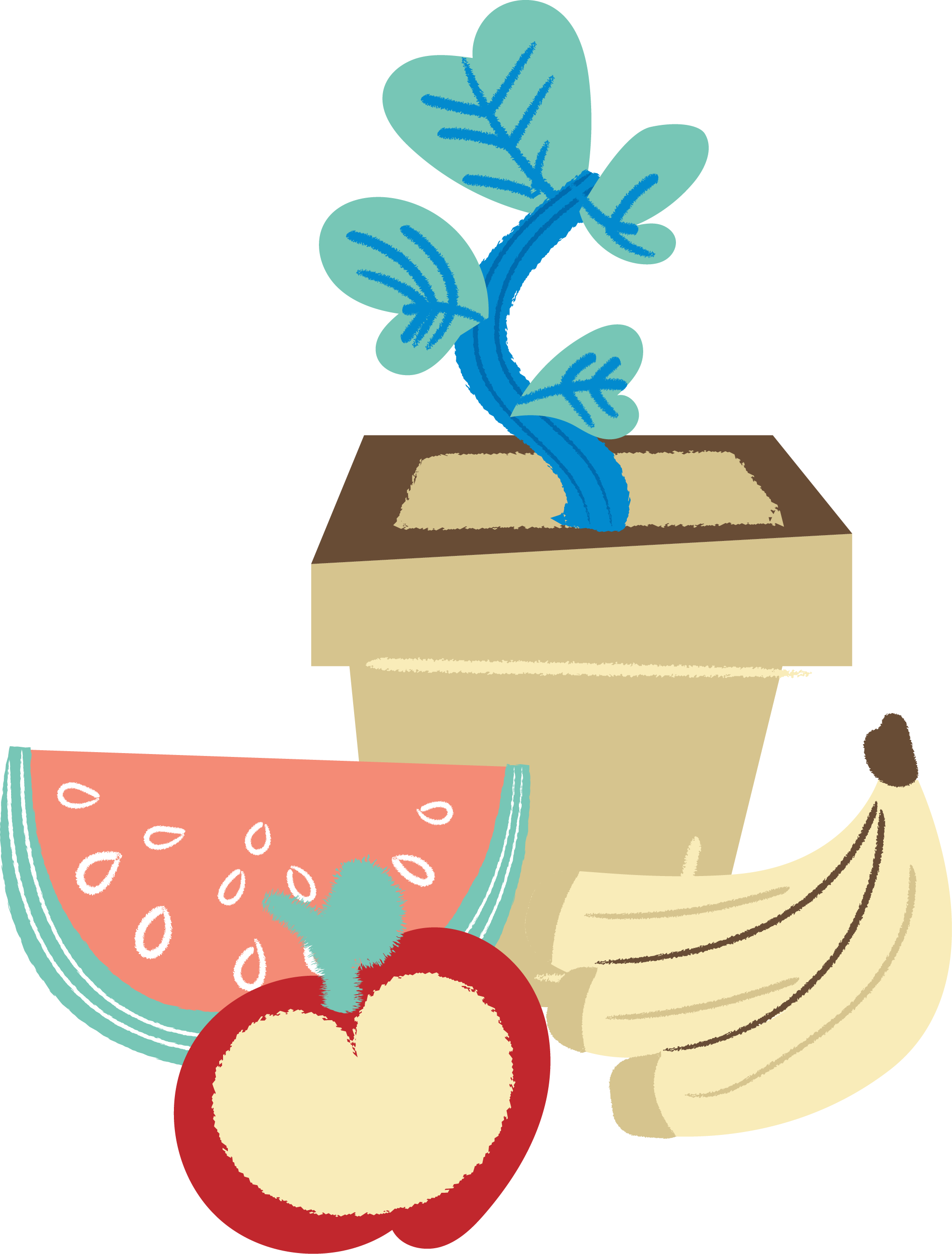 An illustration of a blue plant in a pot, with a watermelon slice, half an apple, and a bunch of bananas in front